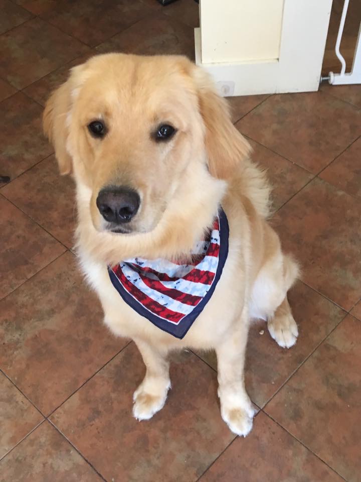 Monty, Karen's furbaby