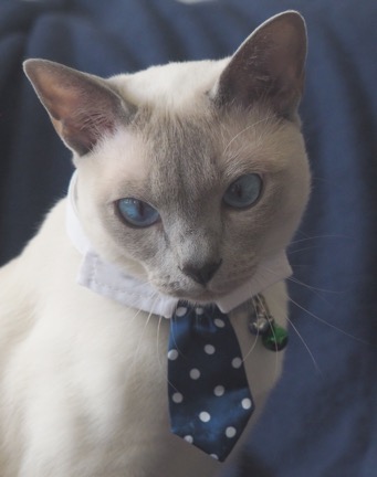 headshot to use on home