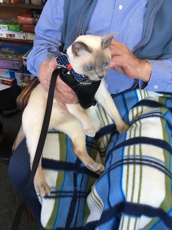 therapy cata visit_n.jpg