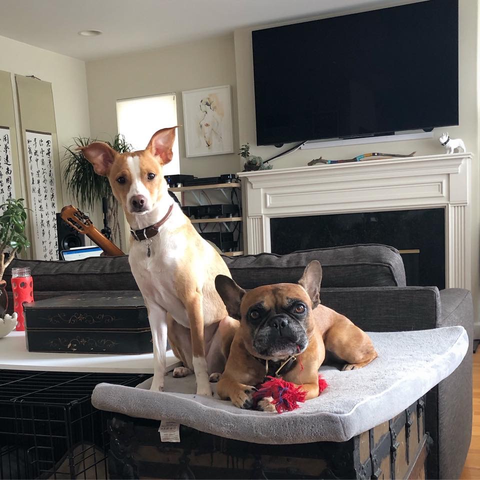 Cindy's kids Ella (L) and Barley (R)