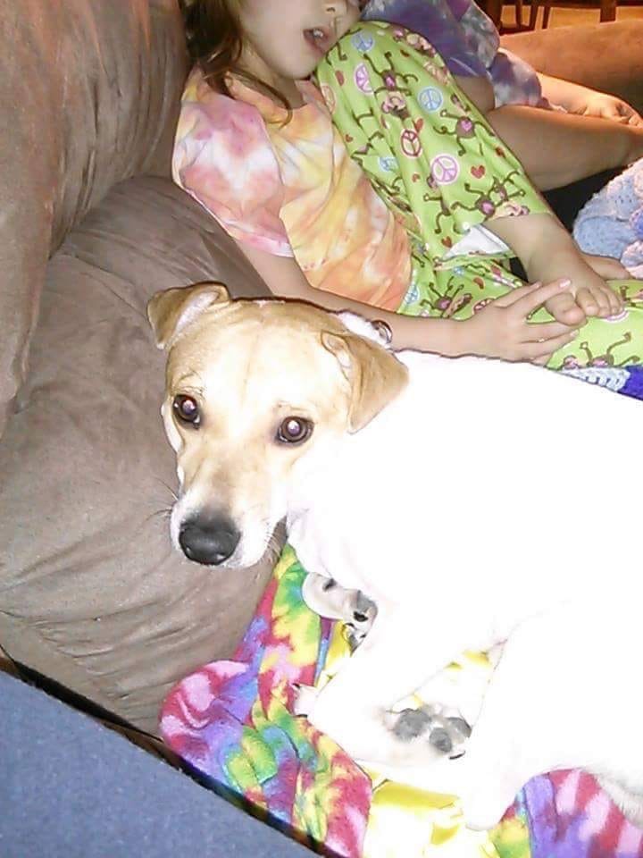 Gail's Granddoggy Rowdy