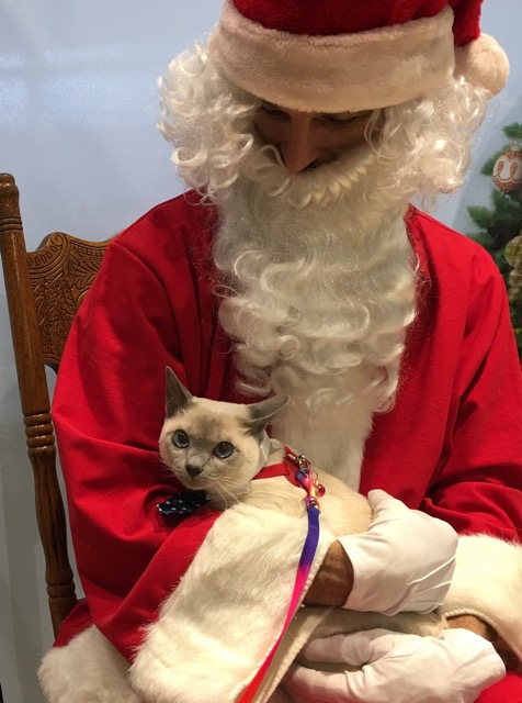 Visiting Santa at Petco