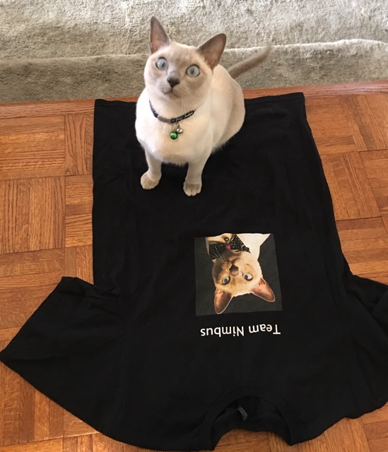 Our new Team Nimbus T Shirts