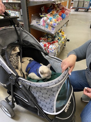 Pet food express 3 Photo Dec 14, 1 16 19 PM