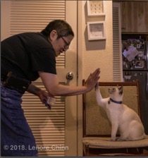 Screen Shot 2022-02-07 at 5.10.49 PM